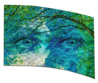 Nature's Glimpse